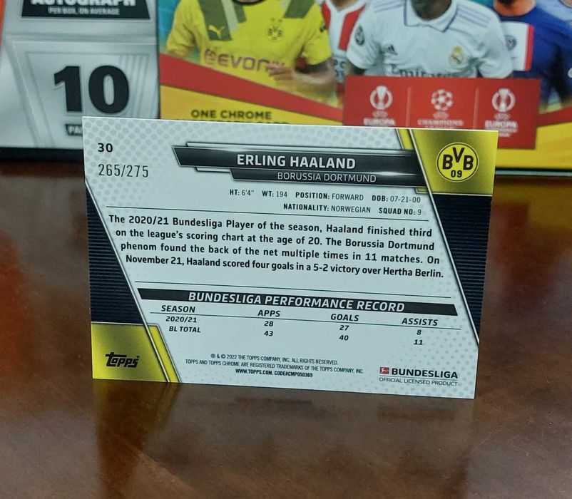 Erling Haaland - Borussia Dortmund