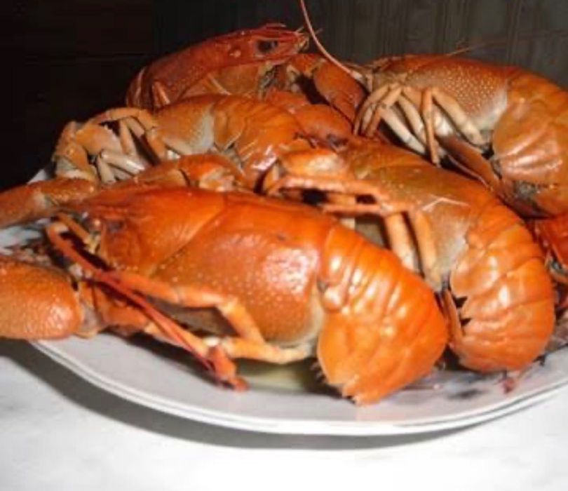 Продам живі раки та варені