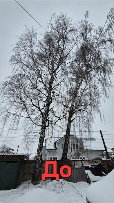 Зрізка зрізання кронування обрізання  дерев