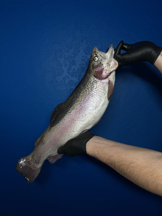 Форель з ікрою охолоджена