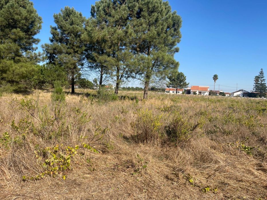 Limpeza de Terrenos LOW COST