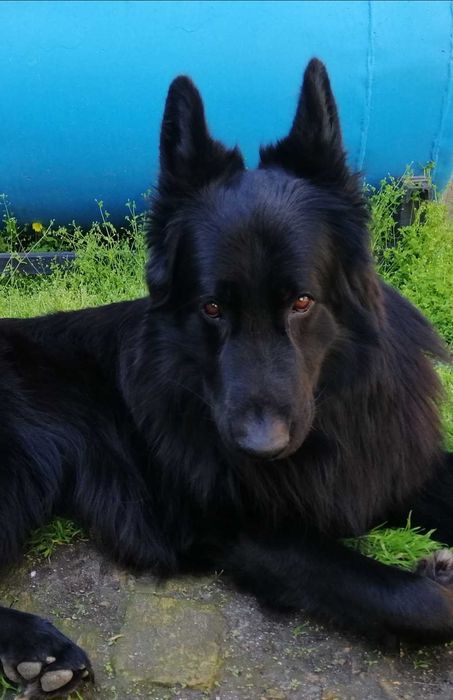 Кабель для вязки