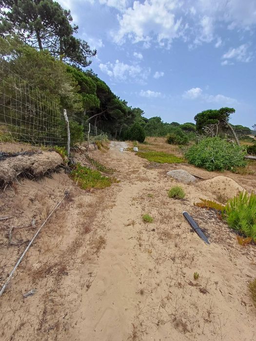 Terreno +5000m com apoio agricola em alvenaria uma nascente de água