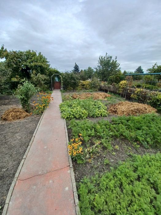 Działka ROD,Ogrodowa z prądem