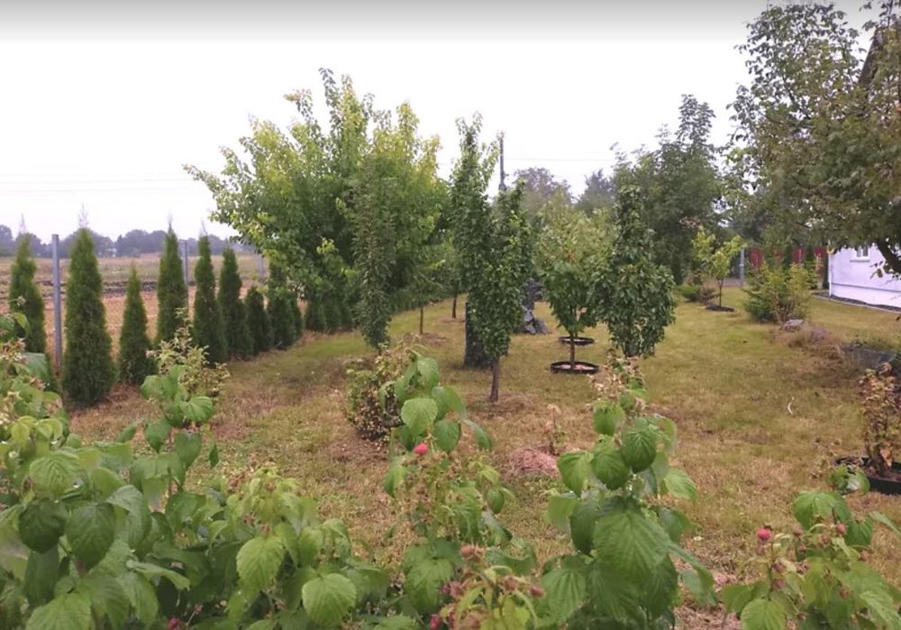 Продаж чудового будинку в затишній локації!