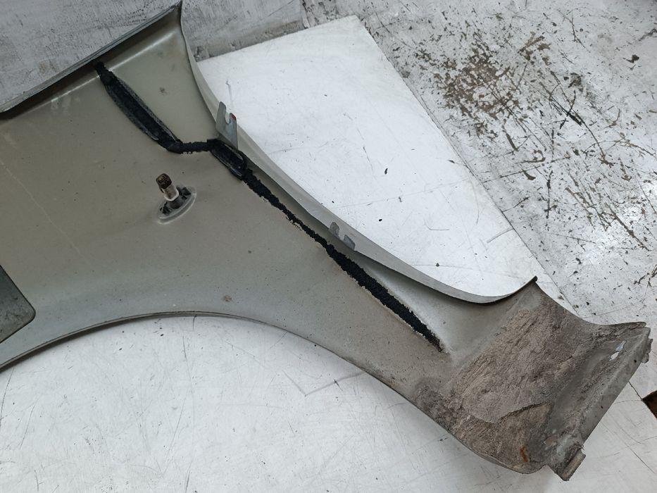 Guarda Lamas Direito - CITROËN Xsara Picasso (N68) | 99 - 12