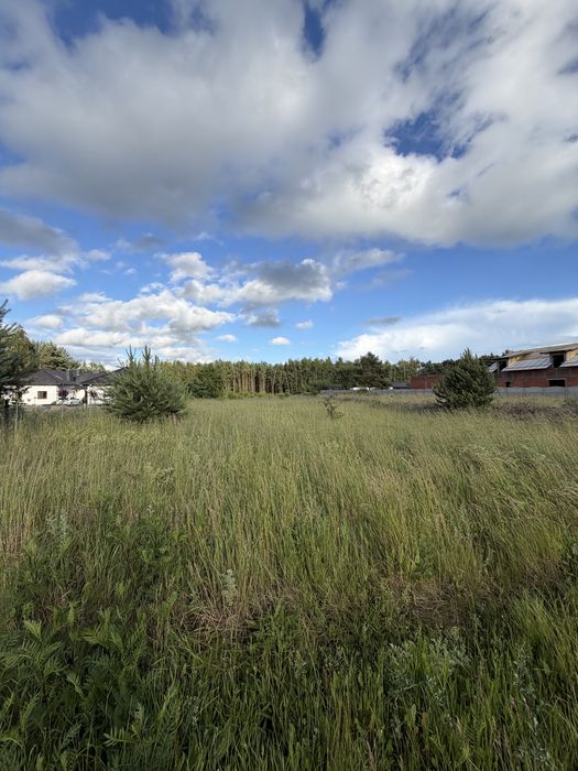 Działka budowlana 5000m2 Duszniki Wielkopolskie