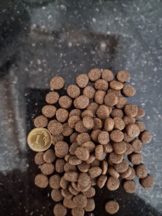 Lovi food dla białych psów,łosoś z pstrągiem