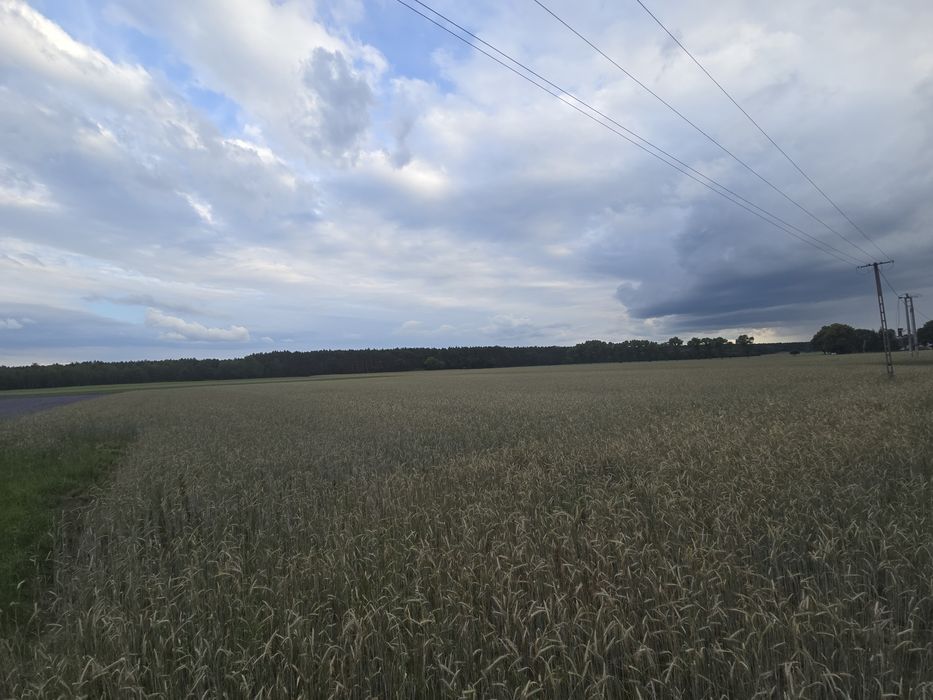 Działki budowlane z warunkami zabudowy.