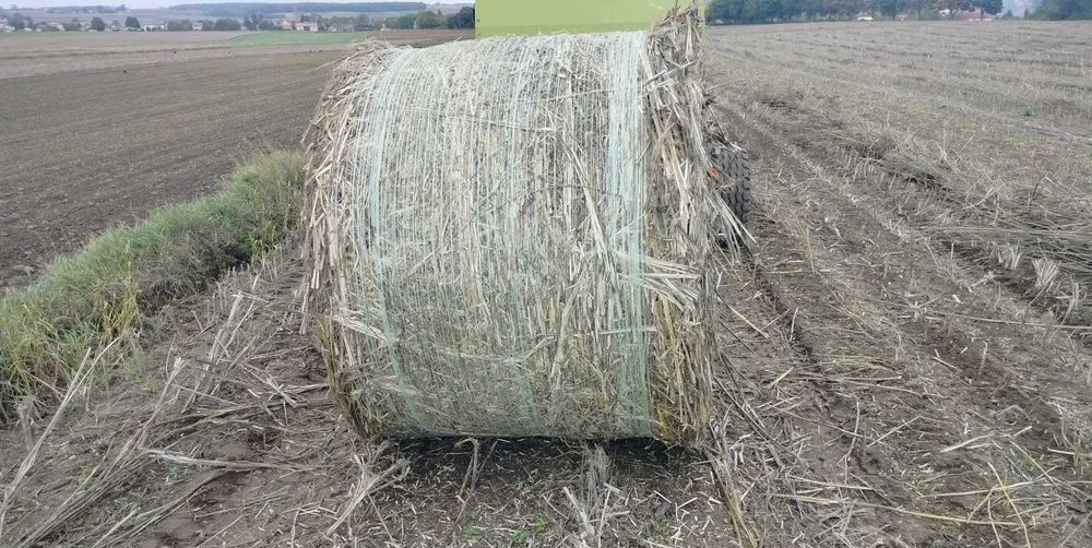 Słoma konopna w belach