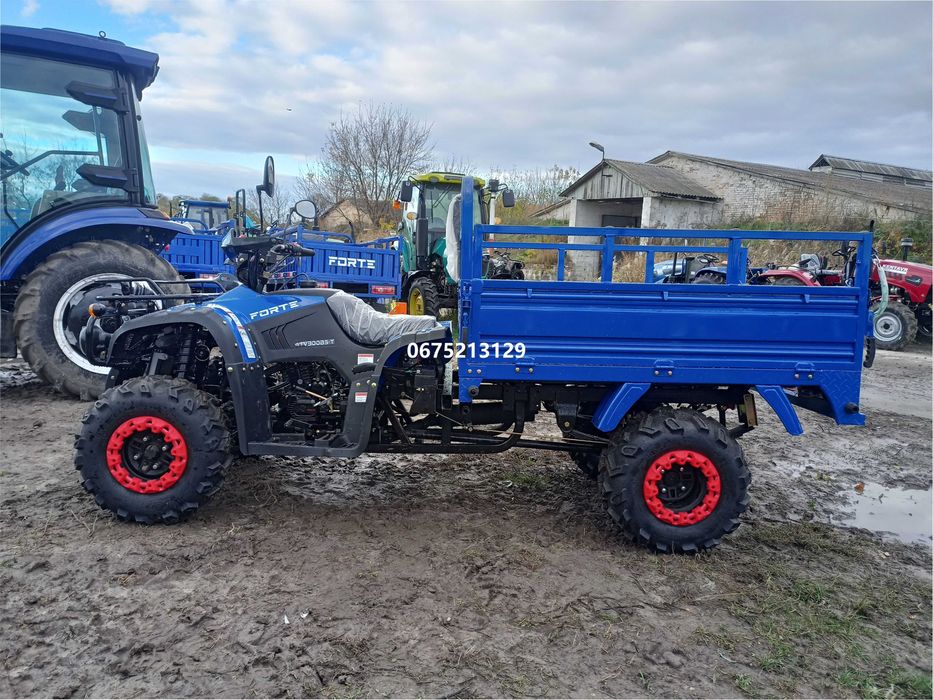 Квадроцикл Вантажний FORTE ATV 300 BS-T 4х4 Форте доставка безкоштовна
