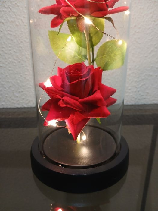 Redoma de Vidro Com Led