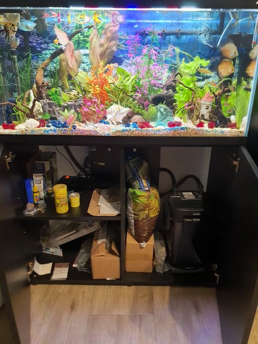 Akwarium Aquel 200l (pokrywa oświetl.)stan idealny + szafka oryginalna