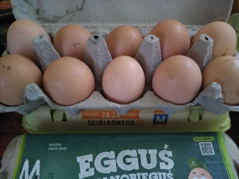Jaja świeże od kur i kaczek