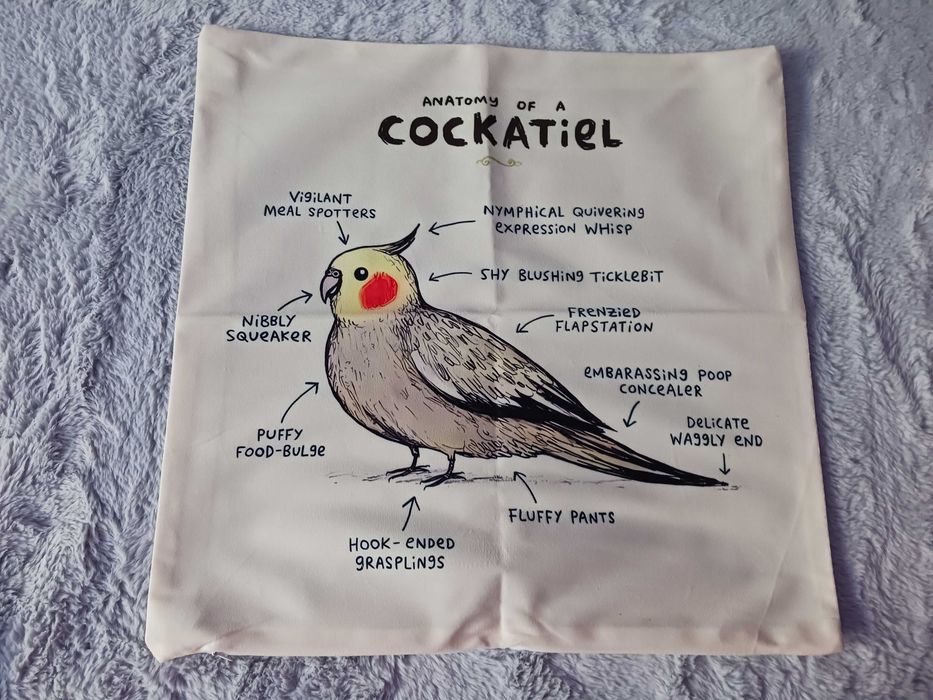 Ozdobna poszewka na poduszkę - papuga nimfa