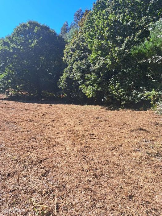 Terreno Rústico em Gondomar - Oportunidade Única por 75.000€