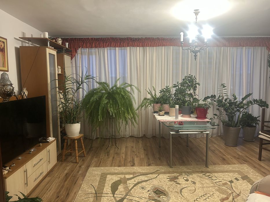 Mieszkanie 48m kw
