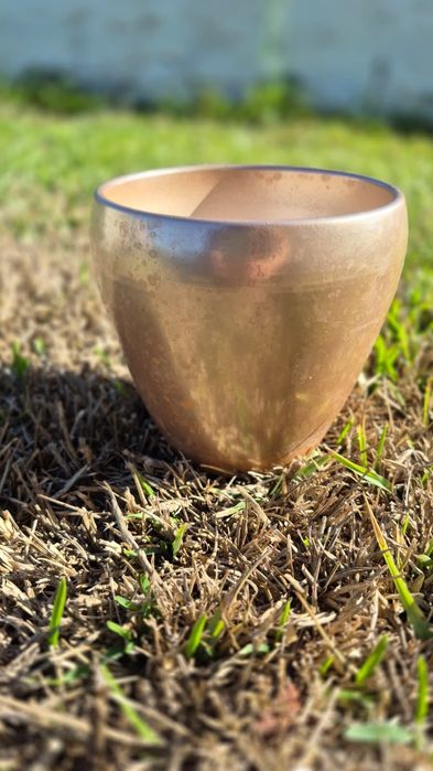 Pack de vasos variados