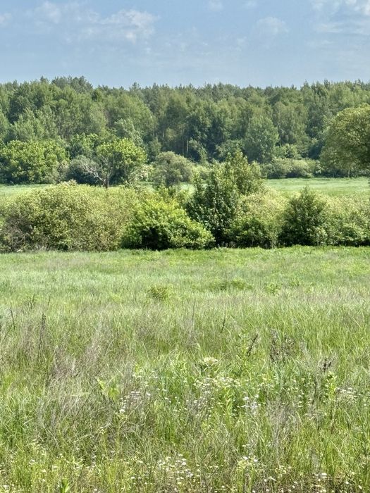 Продам 82сотки землі !!!  с.Мироцьке