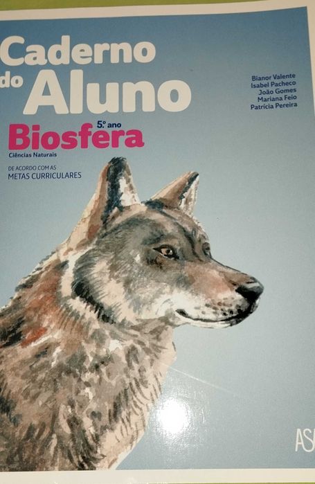 Livros de atividades e Manuais escolares