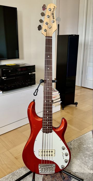 Music Man Stingray 5