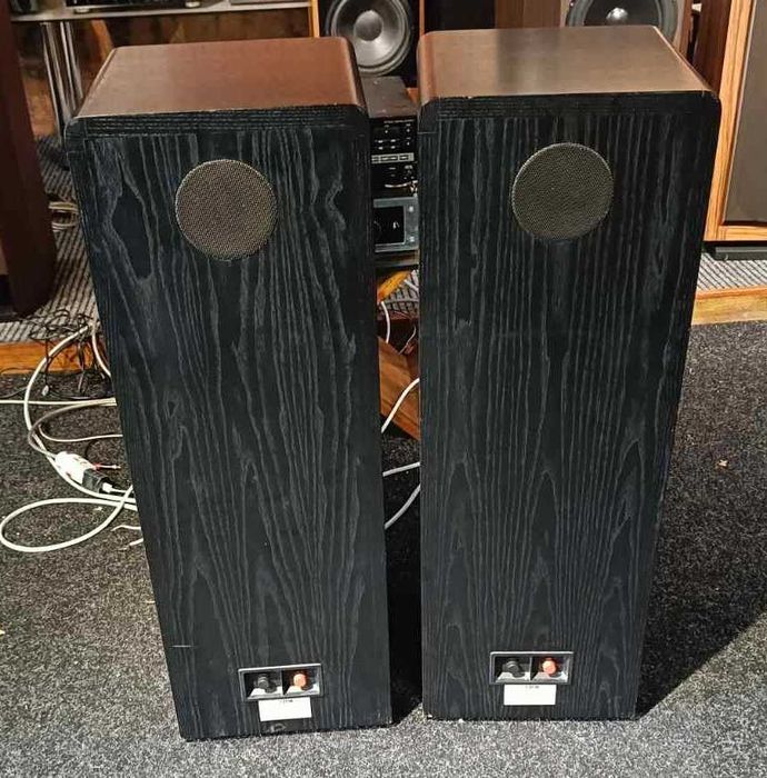 Canton CT 90 супер саунд