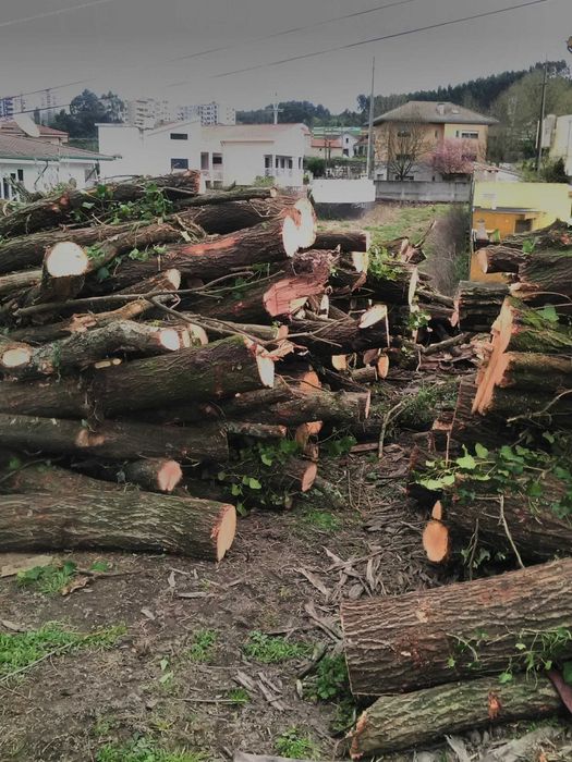 Vendo lenha ao domicílio