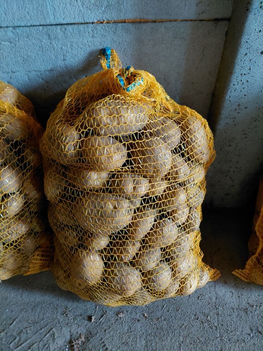 Ziemniaki  Ignacy woreczek  żółte 15kg