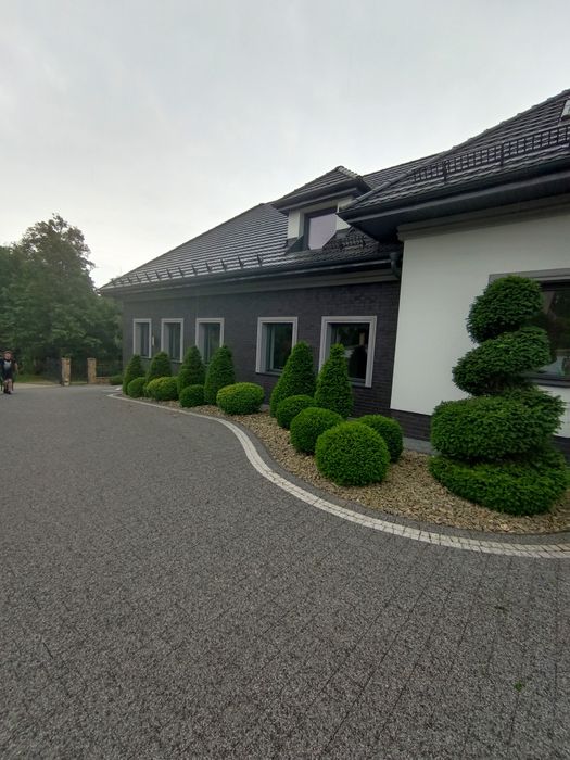 Przycinanie krzewów, zakładanie trawników, wycinka drzew i inne