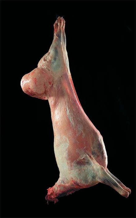 Продається туша мʼяса курдючного барана