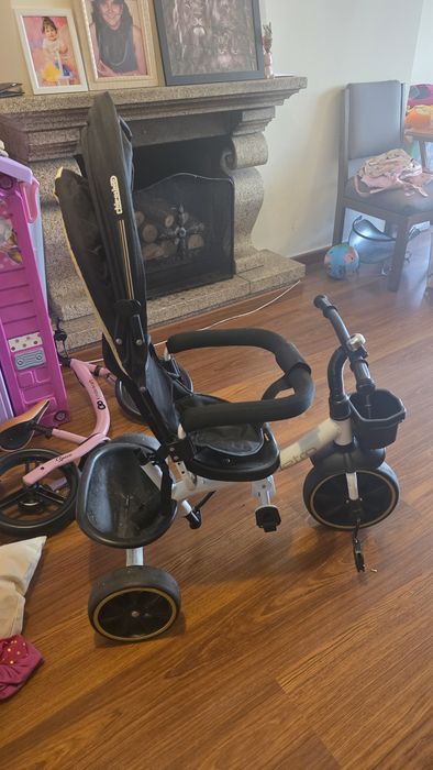3-in-1 Evolving Tricycle487879329763840001