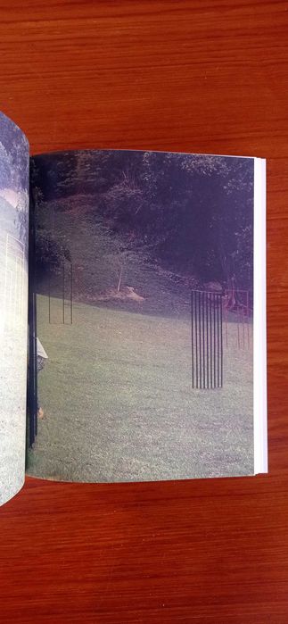 Antonio Manuel, Museu Serralves