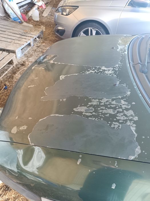 Corsa B gasolina edition 100 anos