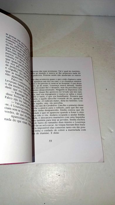 Destes de Rato - Agostina Bessa-Luís