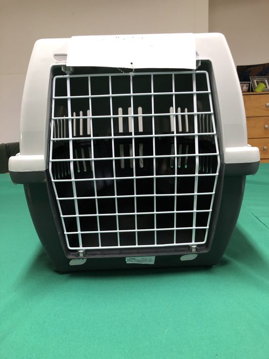 Caixa Transportadora cao/gato