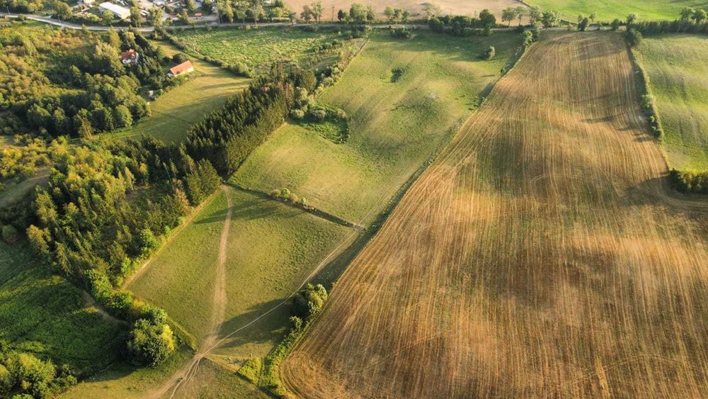 Działki budowlane 1500 m² – Ryn – media przy działce