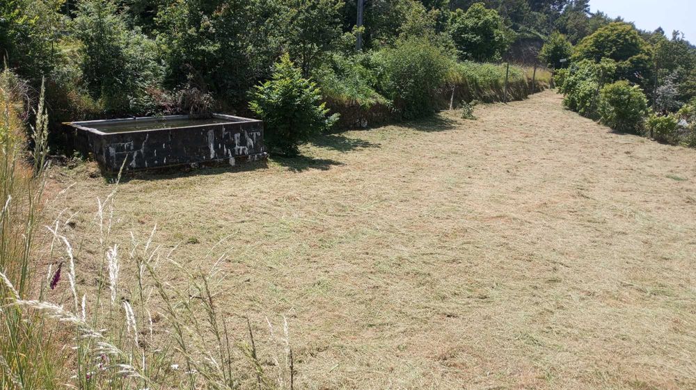 Terreno para venda em Salamonde, Vieira do Minho