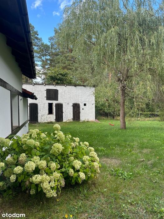 Zdjęcie 3