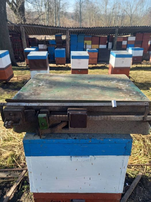 Ваги поштові до 105 кг — точні та надійні