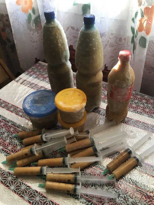 Бджолиний гомогенат чистий (перша заморозка)