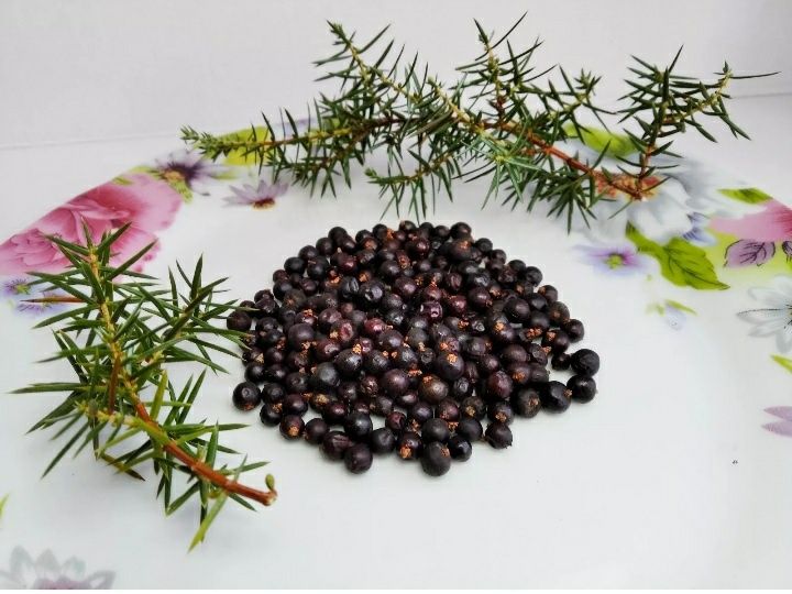 Сушені ягоди ялівцю.