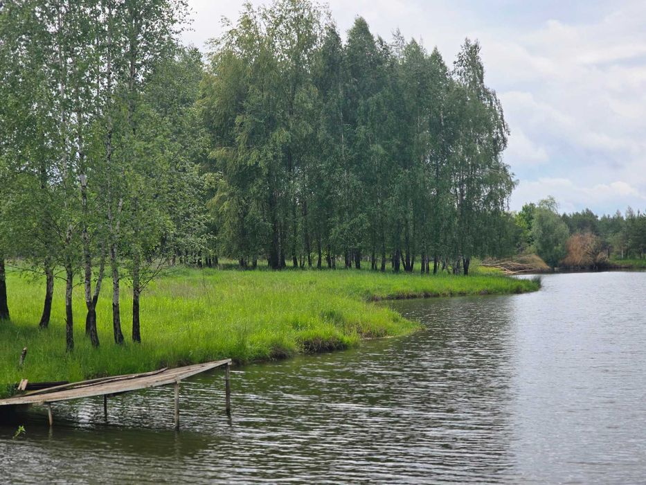 Ділянка біля лісу з власним озером. Є газ, світло, вода. 3.27 Га