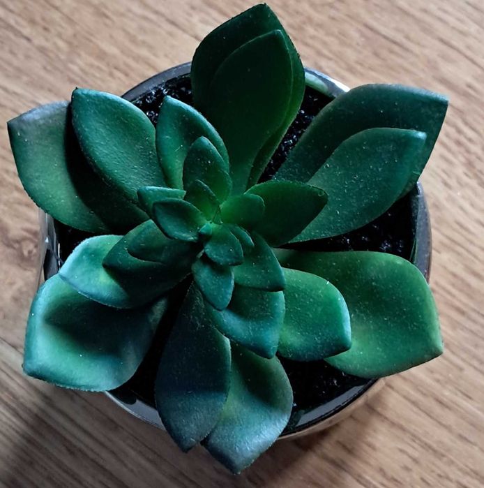 Mini vaso com suculenta artificial