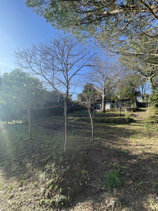 Terreno Tregosa para Construção - 1807.42m2 (Ver última foto)