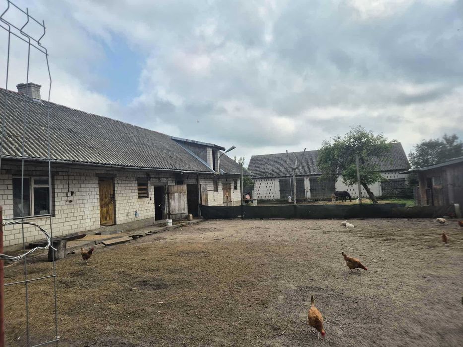 Siedlisko na sprzedaż – dom, dwa budynki gospodarcze i ponad 1,6 ha gruntów