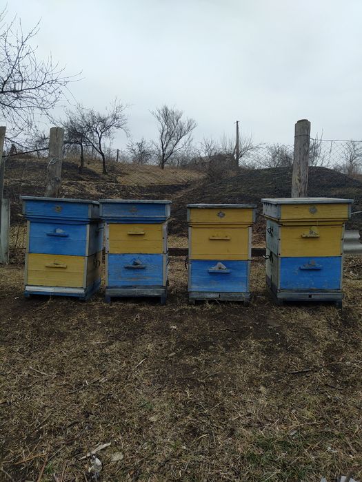 Продам улья в хорошем состоянии.