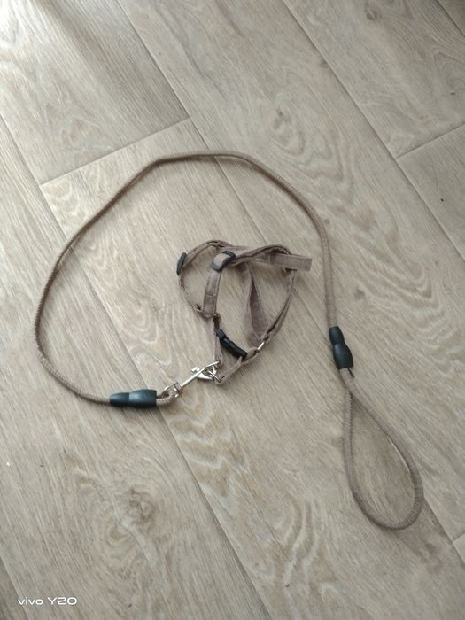 Шлейка, поводок для собак и котов