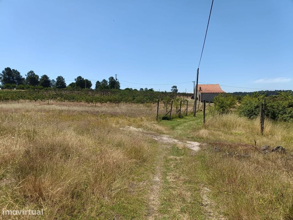 Quinta  Venda em Santa Marinha e São Martinho,Seia