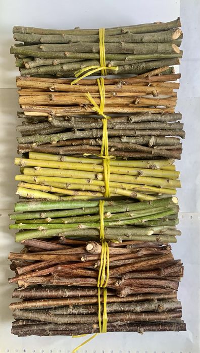 Гілочки гризунці, погризушки для домашніх улюбленців