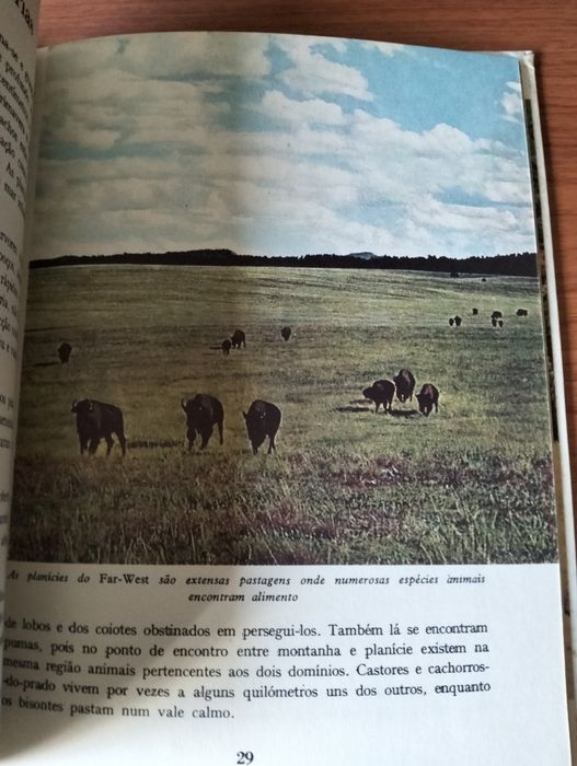 Livro Animais do Far-West